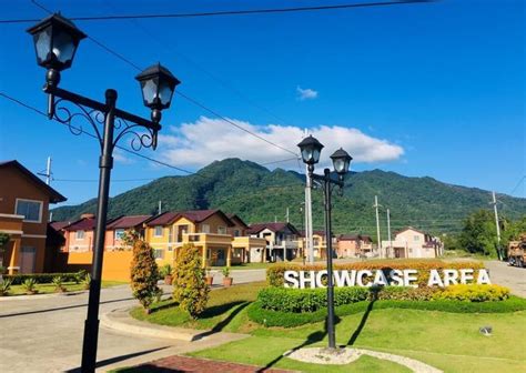 CAMELLA SANTO TOMAS .